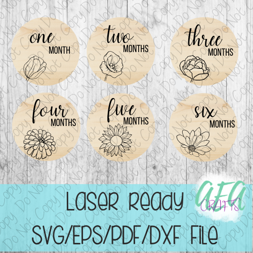 DIGITAL FILE - Laser File - Monthly Milestone Markers - Baby Monthly Markers -Circle Flower Milestone Markers - SVG - Glowforge - Month Markers