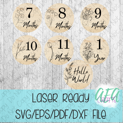 DIGITAL FILE - Laser File - Monthly Milestone Markers - Baby Monthly Markers -Wildflower Milestone Markers - SVG - Glowforge - Month Markers
