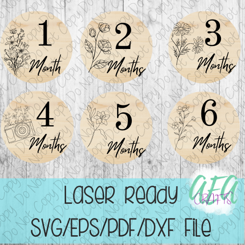 DIGITAL FILE - Laser File - Monthly Milestone Markers - Baby Monthly Markers -Wildflower Milestone Markers - SVG - Glowforge - Month Markers