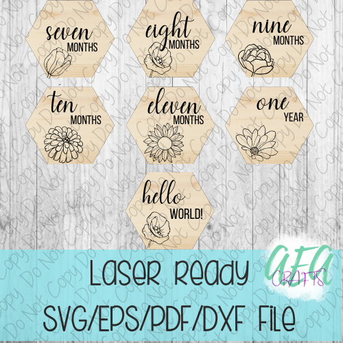 DIGITAL FILE - Laser File - Monthly Milestone Markers - Baby Monthly Markers -Pretty Flower Milestone Markers - SVG - Glowforge - Month Markers
