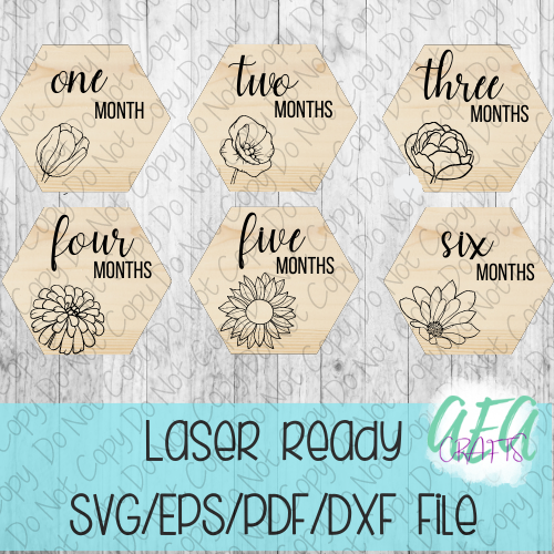 DIGITAL FILE - Laser File - Monthly Milestone Markers - Baby Monthly Markers -Pretty Flower Milestone Markers - SVG - Glowforge - Month Markers