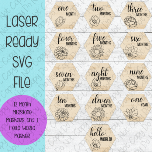 DIGITAL FILE - Laser File - Monthly Milestone Markers - Baby Monthly Markers -Pretty Flower Milestone Markers - SVG - Glowforge - Month Markers
